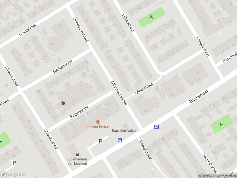 Overlastmelding Bellinistraat in 1962CB Heemskerk