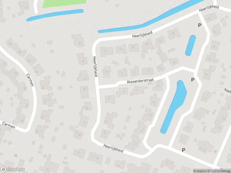 Overlastmelding Alexanderstraat in Sint Jansteen