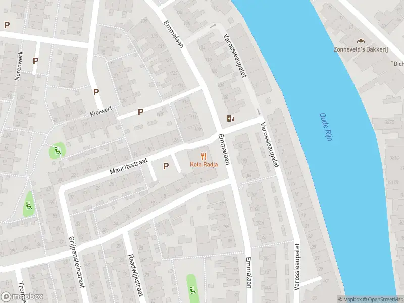 Overlastmelding Emmalaan in Alphen aan den Rijn