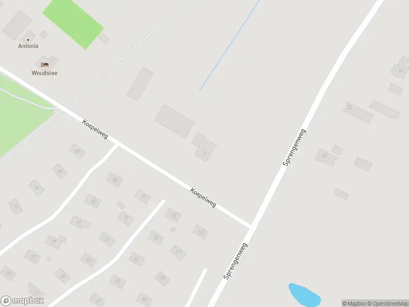 Traumahelikopter met grote spoed naar de Koepelweg in Epe