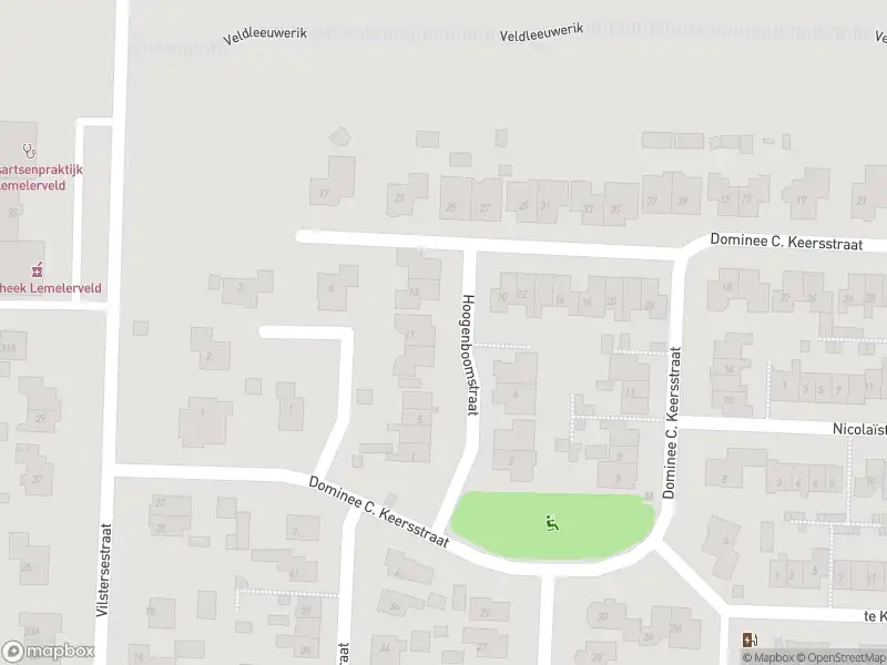 Overlastmelding Hoogenboomstraat in Lemelerveld