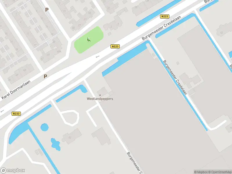 Brandweer met grote spoed naar de Hoofdstraat in De Lier