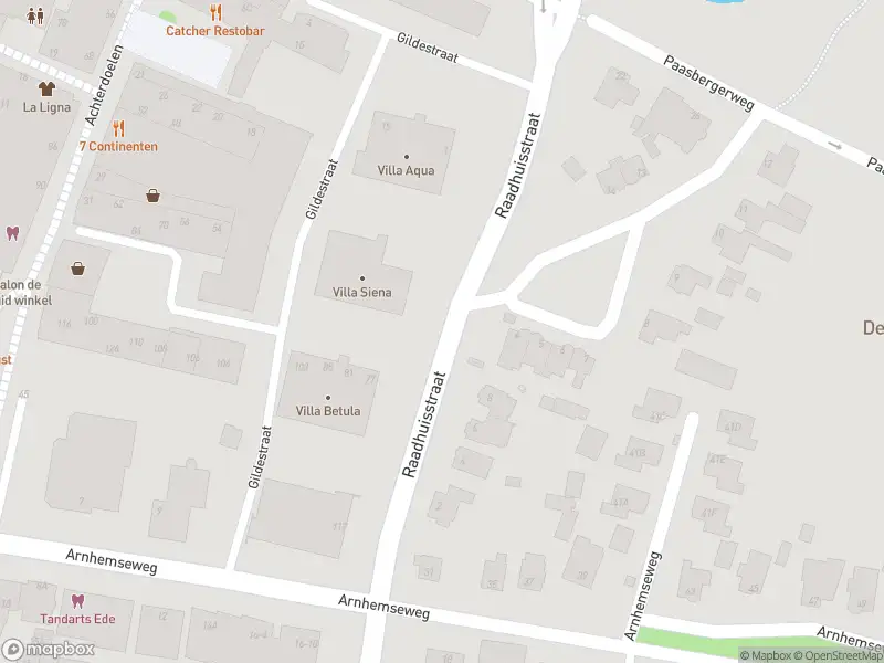 Politie naar de Raadhuisstraat in Ede vanwege aanrijding met letsel