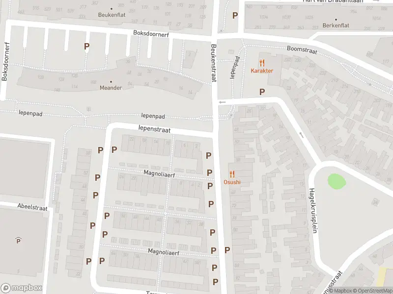 Overlastmelding Iepenpad in Tilburg