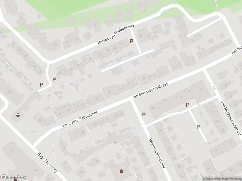 Overlastmelding Van Salm-Salmstraat in Loon op Zand