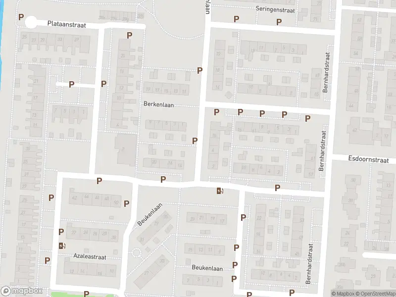 Overlastmelding Berkenlaan in Numansdorp