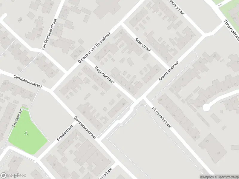 Overlastmelding Begoniastraat in Sint-Michielsgestel