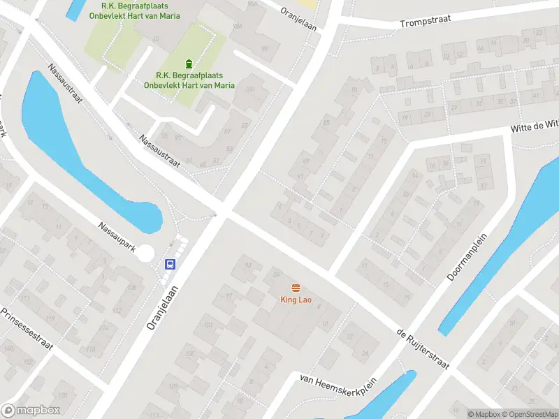Overlastmelding De Ruijterstraat in Lisse