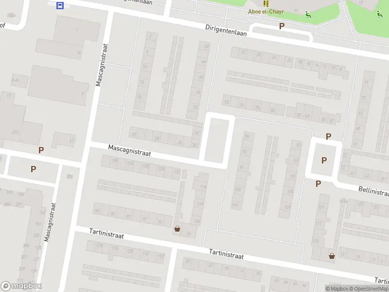 112 melding Anonieme overlastmelding Mascagnistraat in Tilburg