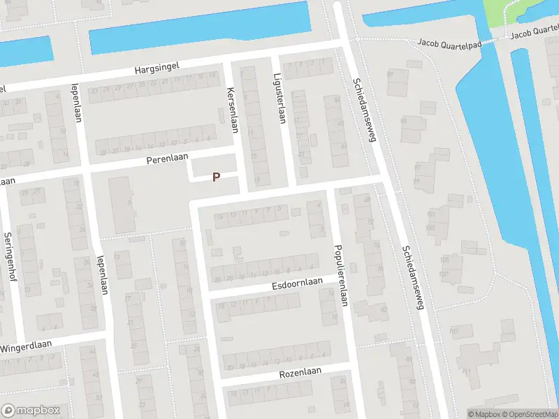 Politie naar de Goudenregenlaan in Schiedam vanwege ongeval met letsel
