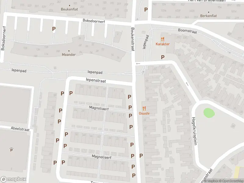 Overlastmelding Iepenpad in Tilburg gesloten