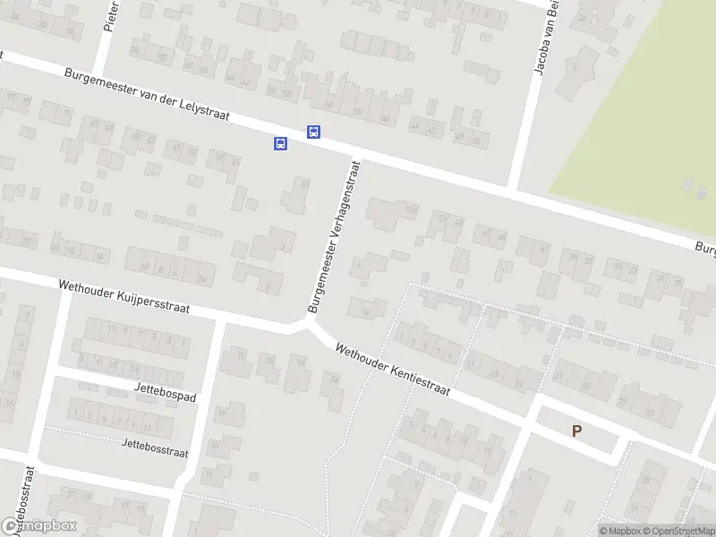 Overlastmelding Burgemeester van Rijswijkstraat in Woudrichem