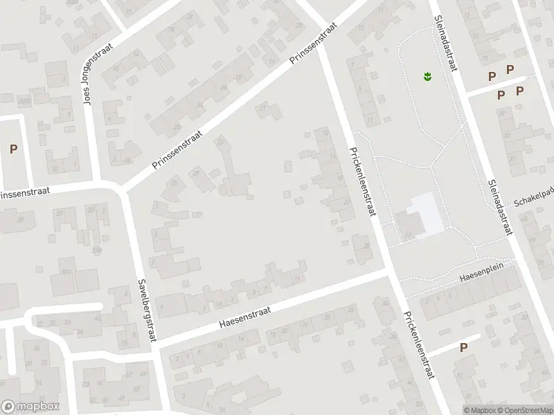 Politie met grote spoed naar de Prinssenstraat in Landgraaf