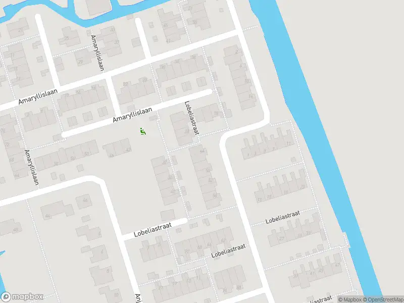 Overlastmelding Lobeliastraat in Hoogkarspel