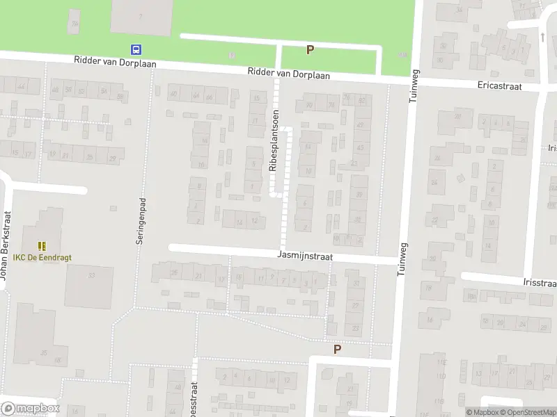 Overlastmelding Ribesplantsoen in Zuid-Beijerland