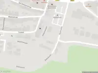 Politie naar de Buitenomme in Rhenen vanwege aanrijding met letsel