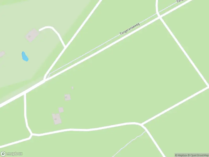 Brandweer met gepaste spoed naar de Tongerenseweg in Vierhouten vanwege stormschade