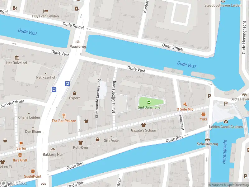 Ambulance met grote spoed naar de Maria Gijzenplein in Leiden