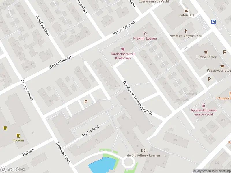 Overlastmelding Doude van Troostwijkplein in Loenen aan de Vecht
