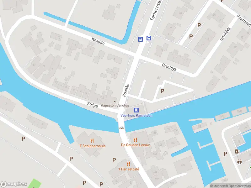 Overlastmelding Koailân in Terherne gesloten