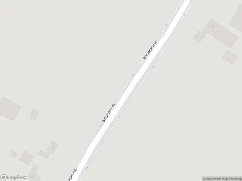 Politie naar de Balgoijseweg in Balgoij vanwege aanrijding met letsel