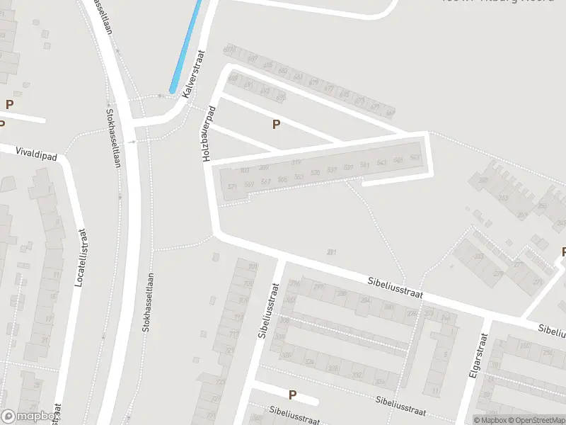 Overlastmelding Sibeliusstraat in Tilburg gesloten
