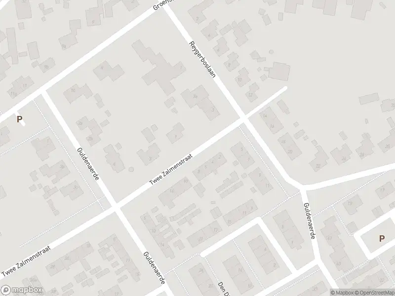 Overlastmelding Twee Zalmenstraat in Giessen