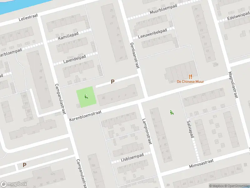 Ambulance met gepaste spoed naar de Korenbloemstraat in Spijkenisse