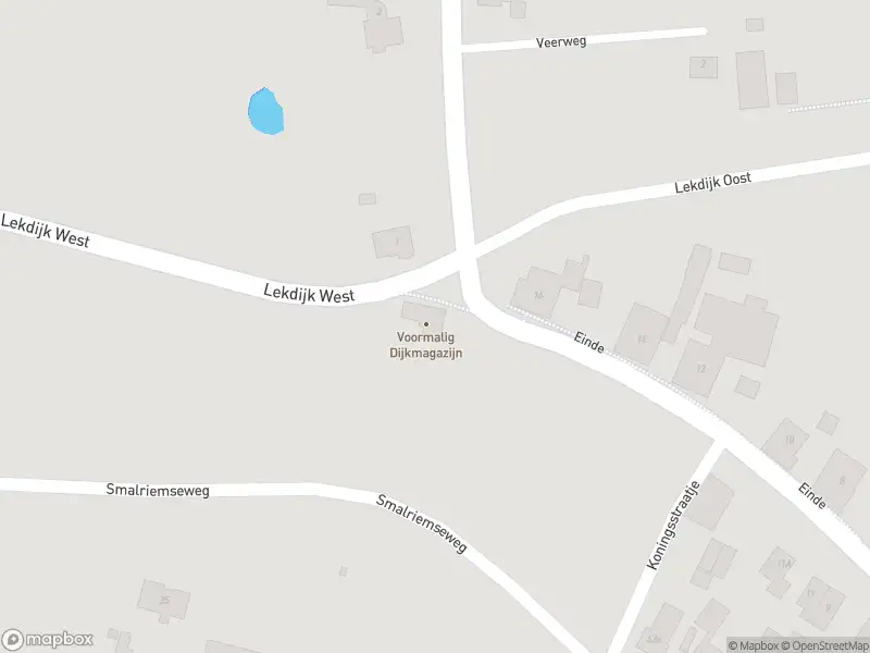 Brandweer met gepaste spoed naar de Lekdijk West in Beusichem
