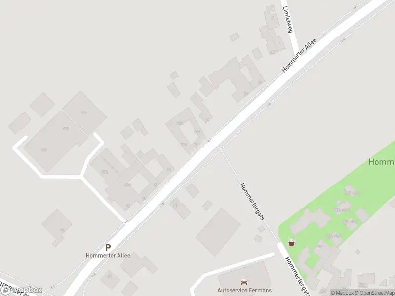 Overlastmelding Hommerter Allee in Amstenrade