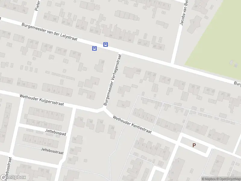Overlastmelding Burgemeester van Rijswijkstraat in Woudrichem