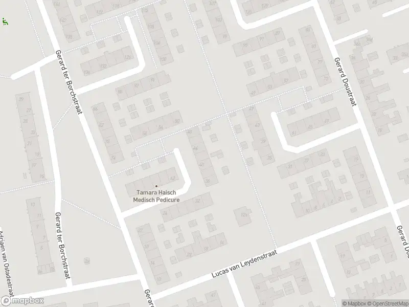 Brandweer met grote spoed naar de Gerard ter Borchstraat in Roosendaal vanwege voertuigbrand