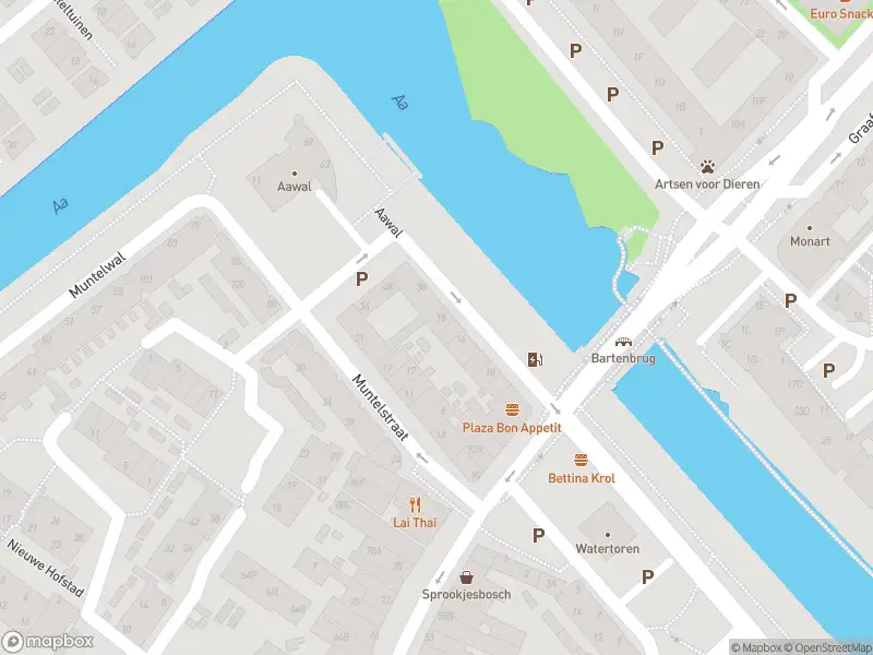 Politie naar de Aawal in 's-Hertogenbosch