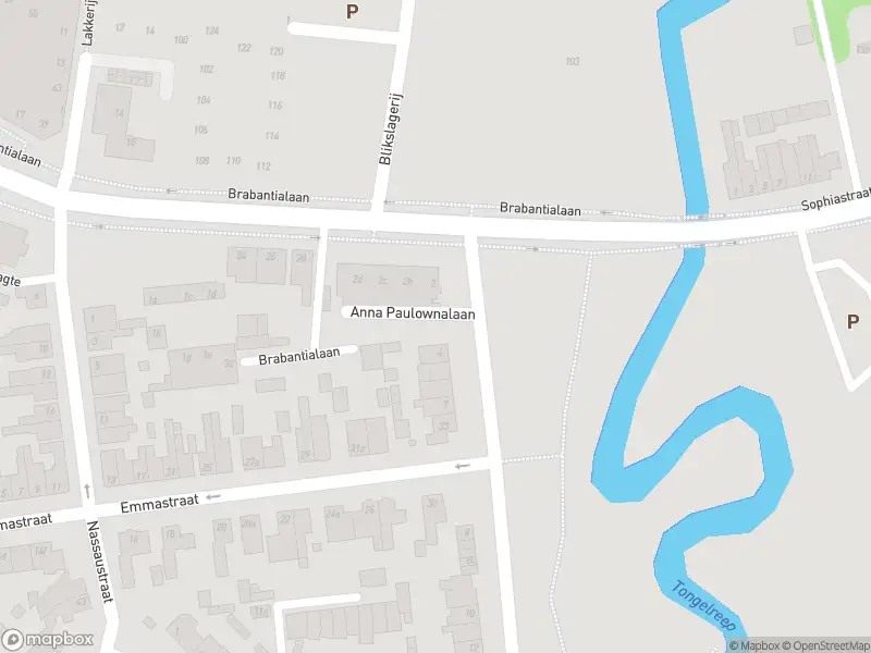Overlastmelding Anna Paulownalaan in Waalre