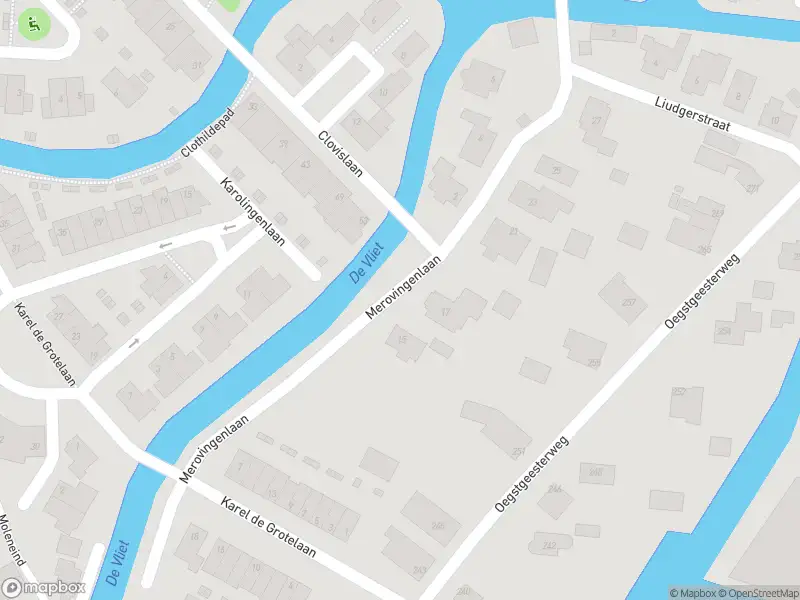 Overlastmelding Merovingenlaan in Rijnsburg