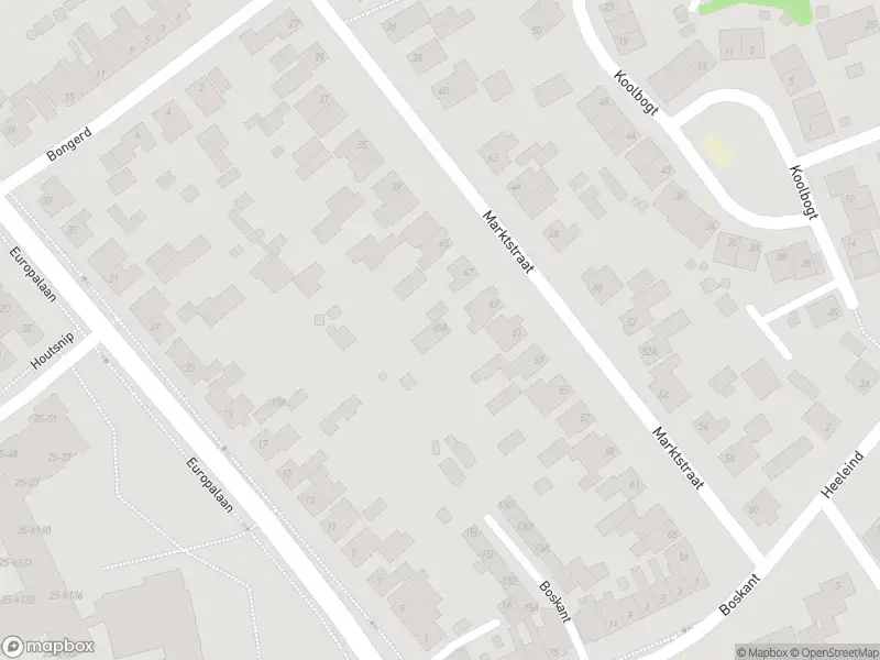 Brandweer met gepaste spoed naar de Hallenstraat in Bladel