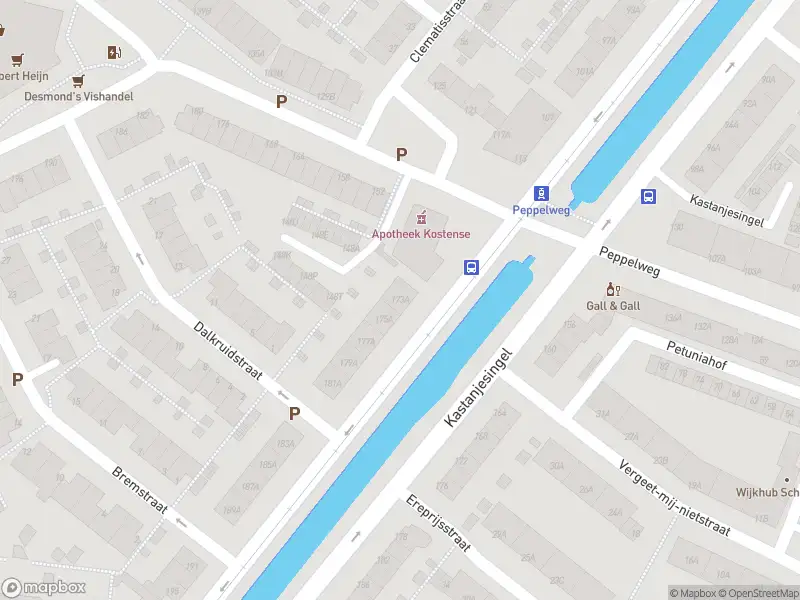 Ambulance met grote spoed naar de Kastanjesingel in Rotterdam