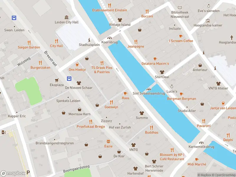 Ambulance met gepaste spoed naar de Korevaarstraat in Leiden