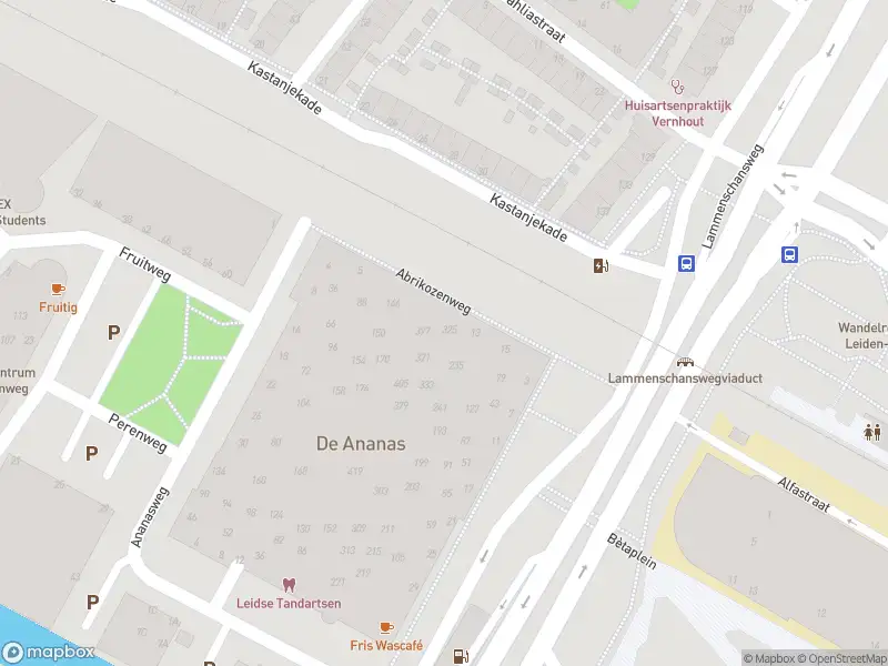 Ambulance met grote spoed naar de Abrikozenweg in Leiden