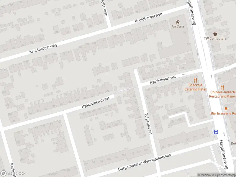 Anonieme overlastmelding Hyacinthenstraat in Santpoort-Noord