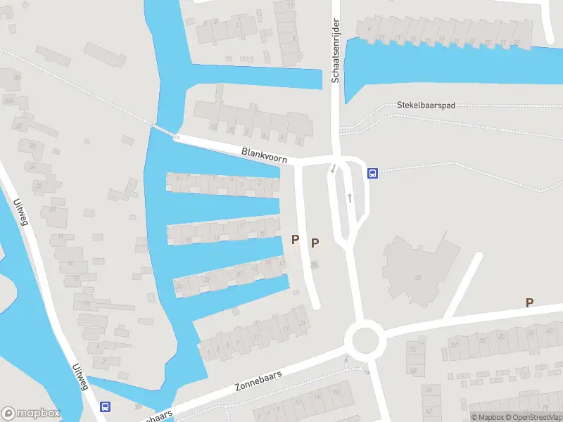 Ambulance met grote spoed naar de Dwergmeerval in Krommenie
