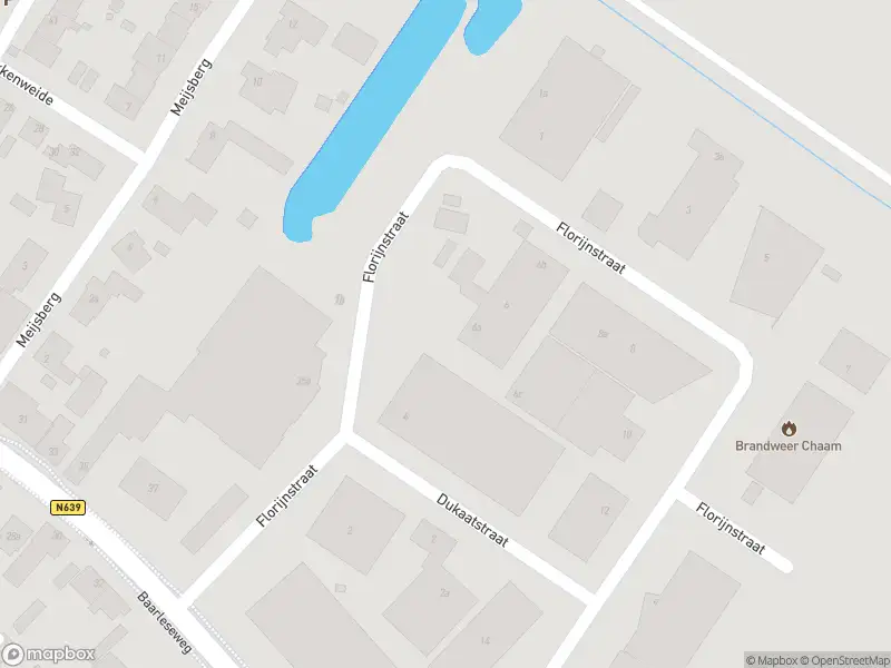 Brandweer met gepaste spoed naar de Florijnstraat in Chaam