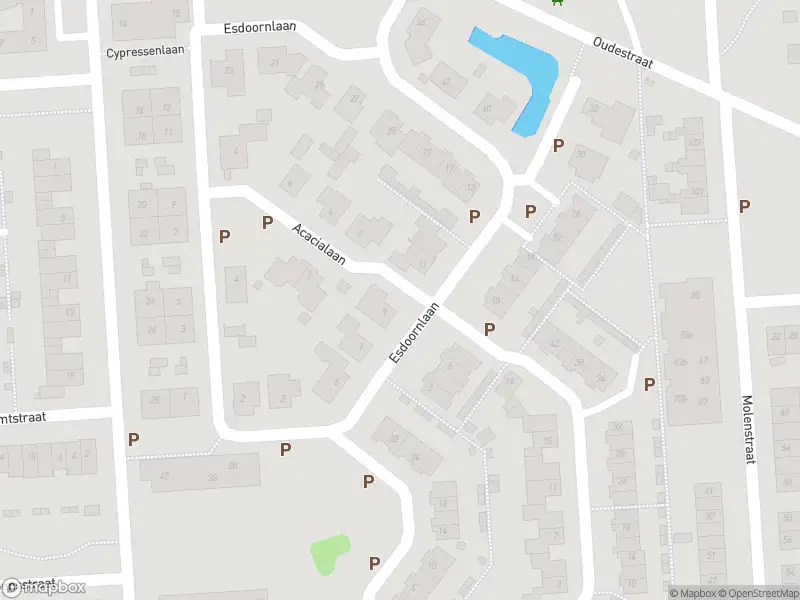 112 melding Overlastmelding Esdoornlaan in Sprang-Capelle