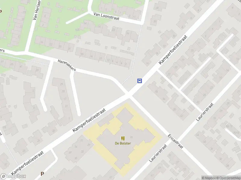 Overlastmelding Kamperfoeliestraat in Sint-Michielsgestel