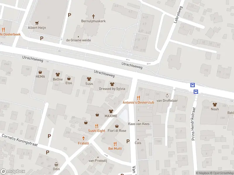 Overlastmelding Utrechtseweg in Oosterbeek