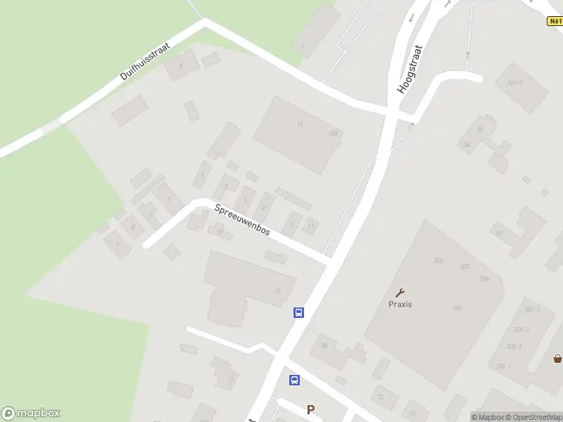 Overlastmelding Spreeuwenbos in Sint-Michielsgestel