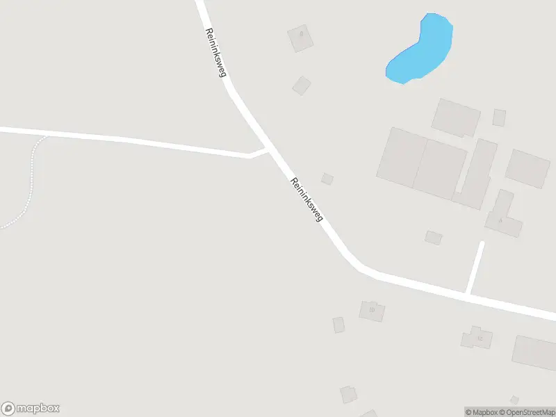 Politie naar de Reininksweg in Deurningen vanwege aanrijding met letsel
