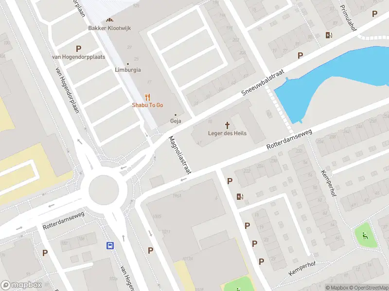 Brandweer met gepaste spoed naar de Dotterbloemstraat in Vlaardingen