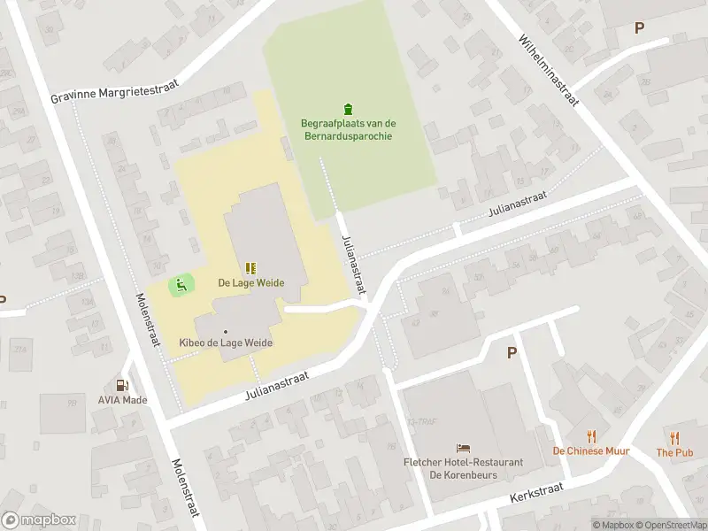 Brandweer met gepaste spoed naar de Julianastraat in Made