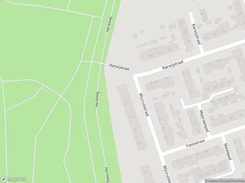 Ambulance met grote spoed naar de Wijnruitstraat in Hoogvliet Rotterdam